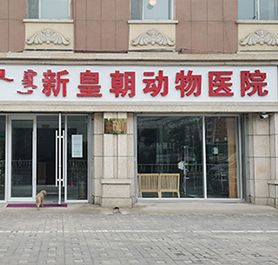 呼和浩特新皇朝動(dòng)物醫(yī)院